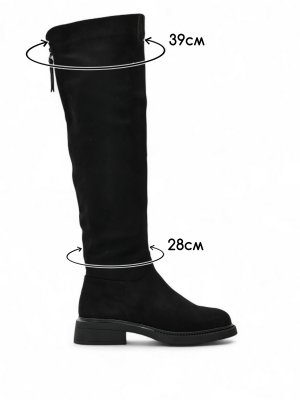 BT1118-2 (12)