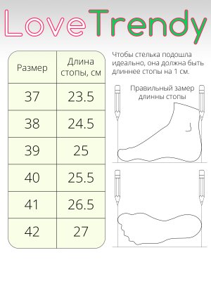 BT1153-3DM (12)