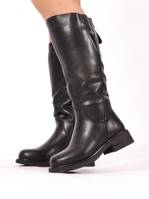 BT1557-1DM (2)