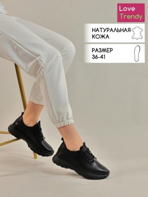 LQ104-1 (1)