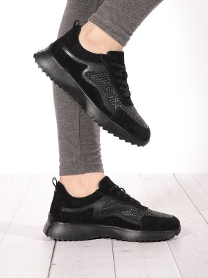 LQ241-2 (10)
