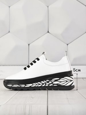 LQ77-2 (11)