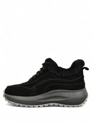 LQM11-1 (17)
