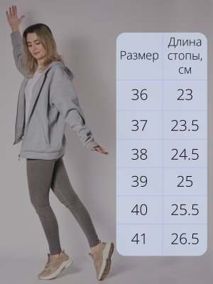 CT279-2 (2)