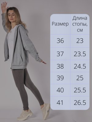 CT279-1 (2)