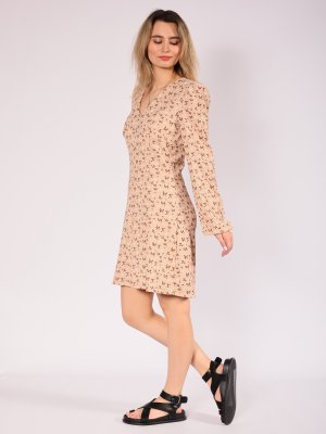 LQ249-1 (6)