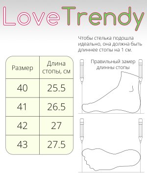 BT1546-1DM (7)