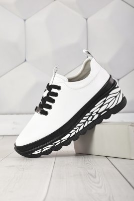 LQ77-2 (8)