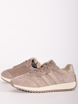 LQ203-3 (20)