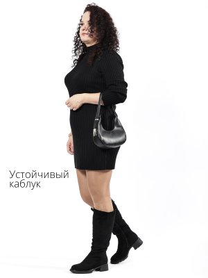 BT1010-2DM (9)