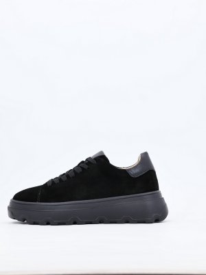 LQ167-3 (11)
