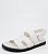 c317-2 Meidiannas