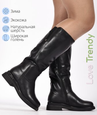 BT1561-1DM (1)