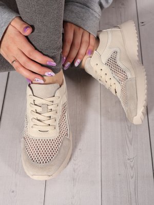 LQ242-2 (8)