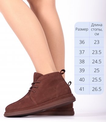 CT512-3P (3)