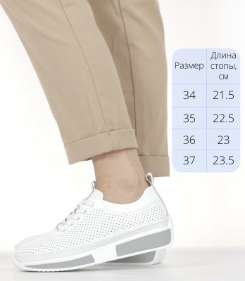 LQ66-2XM (3)