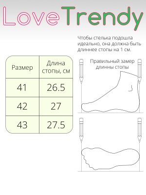 BT1070-4DM (12)