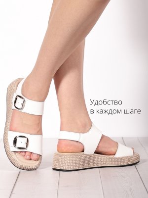 LQ265-1 (11)