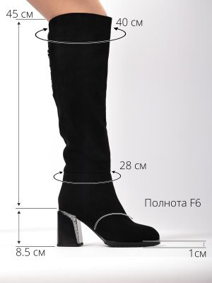 BT1569-1 (3)