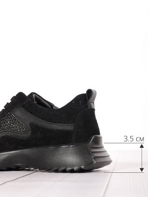 LQ241-2 (3)