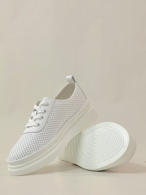 LQ93-2 (11)