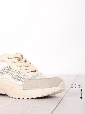 LQ242-2 (4)
