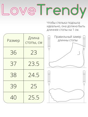 BT324-6 (12)