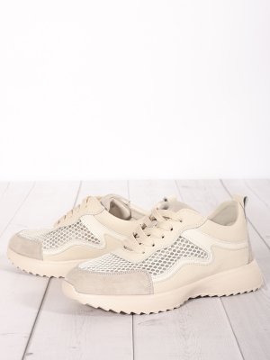 LQ242-2 (5)