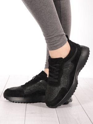 LQ241-2 (9)