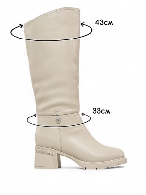 BT987-2DM (13) BT987-2DM (13)