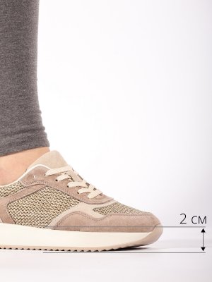 LQ231-1 (4)