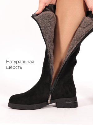 BT1556-2DM (5)