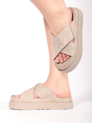 LQ210-2 (10)