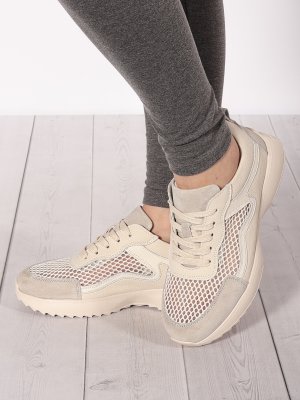 LQ242-2 (9)