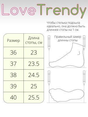 BT1566-1 (12)