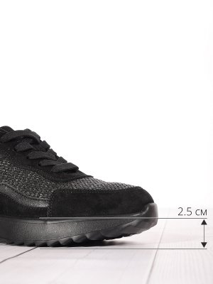 LQ241-2 (4)